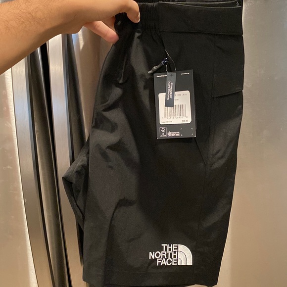 【希少】The North Face Spectra Short (Black) The North Face | Shorts | North Face Black Series Spectra Short M
